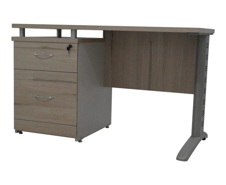 Escritorio Ejecutivo 120x60
