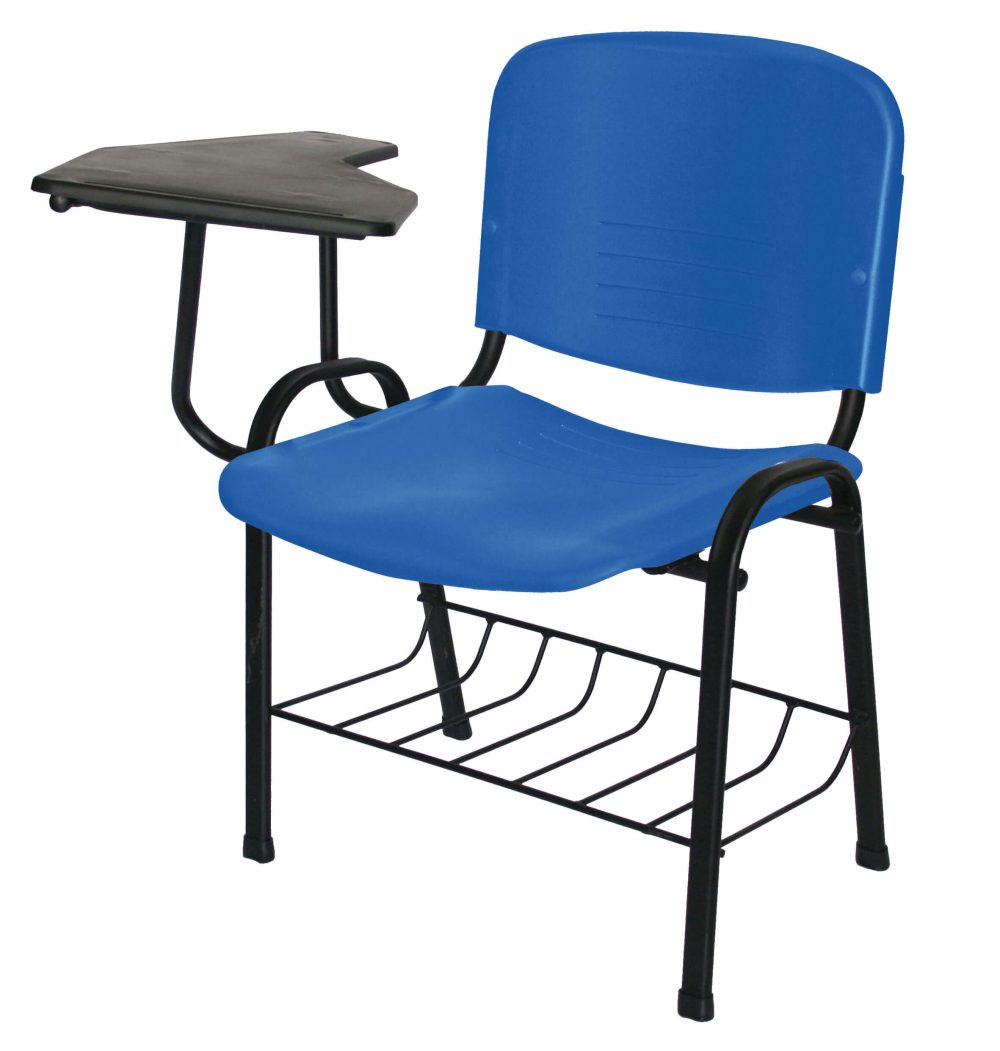 Pupitre con Respaldo y Asiento de Plástico Paleta Normal